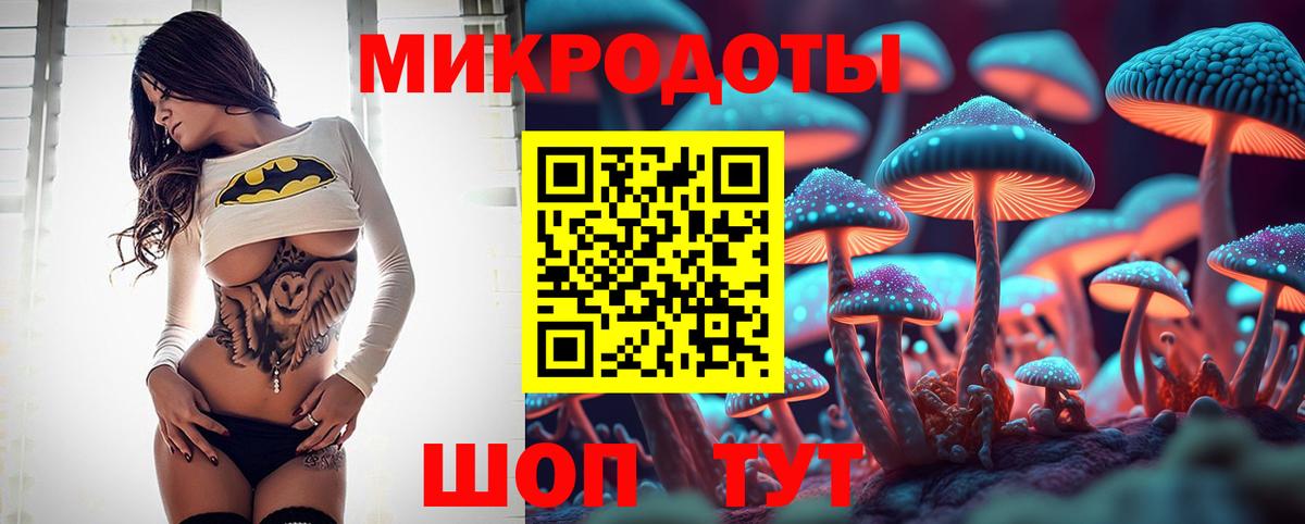 Псилоцибиновые грибы мухоморы Саранск